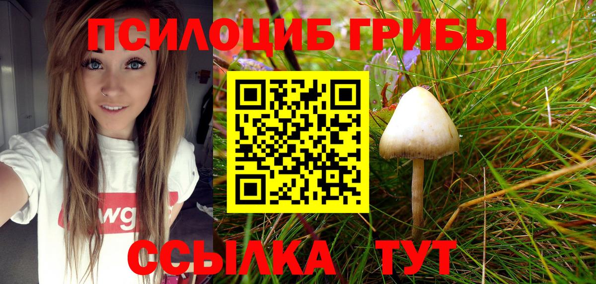 Фрязино  Псилоцибиновые грибы ЛСД  Галлюциногенные грибы Cubensis  Вход с VPN 